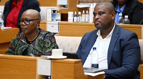 Deputy Minister Gina leads Parliament’s briefing on youth-led innovation