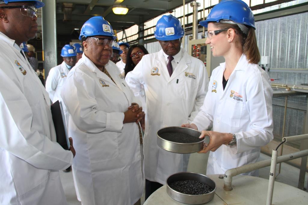 Energy storage is rapidly becoming a major focus area globally - Minister Pandor