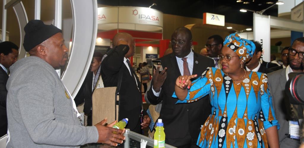 Building and advancing Africa's bioeconomy