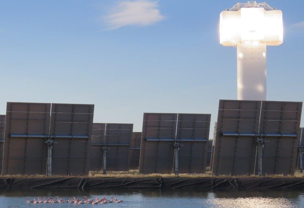 Impact of solar towers on birds investigated