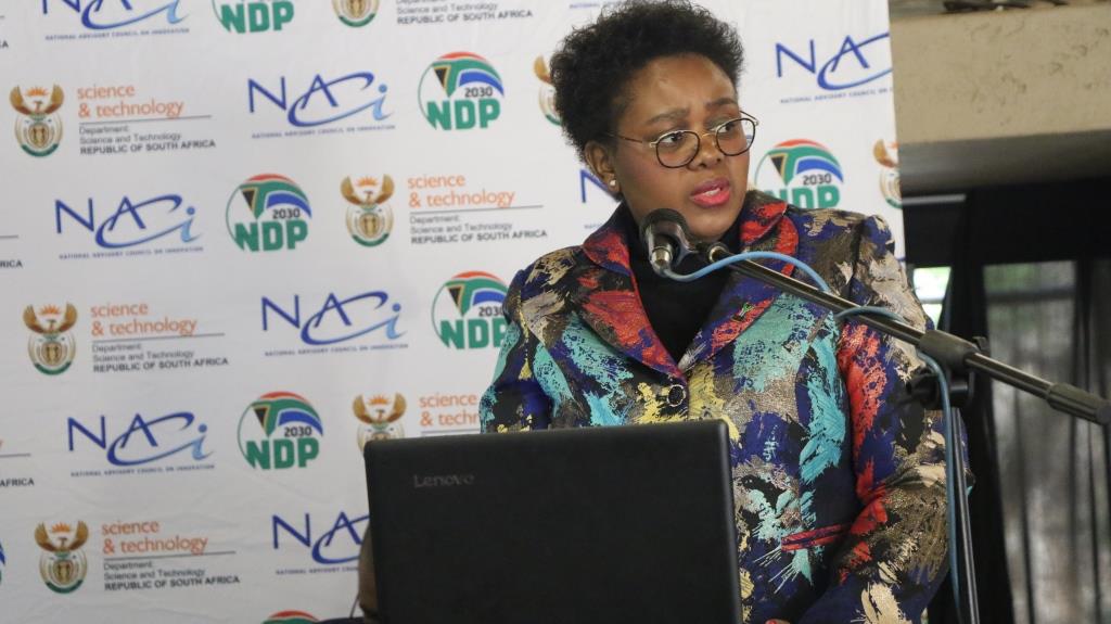 South African Science, Technology and Innovation Indicators 2017