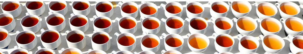 Rooibos research gets funding boost