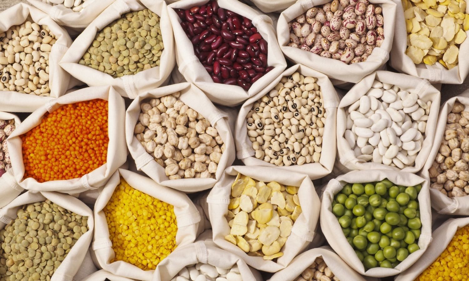 Pulses key in combating hunger and food insecurity