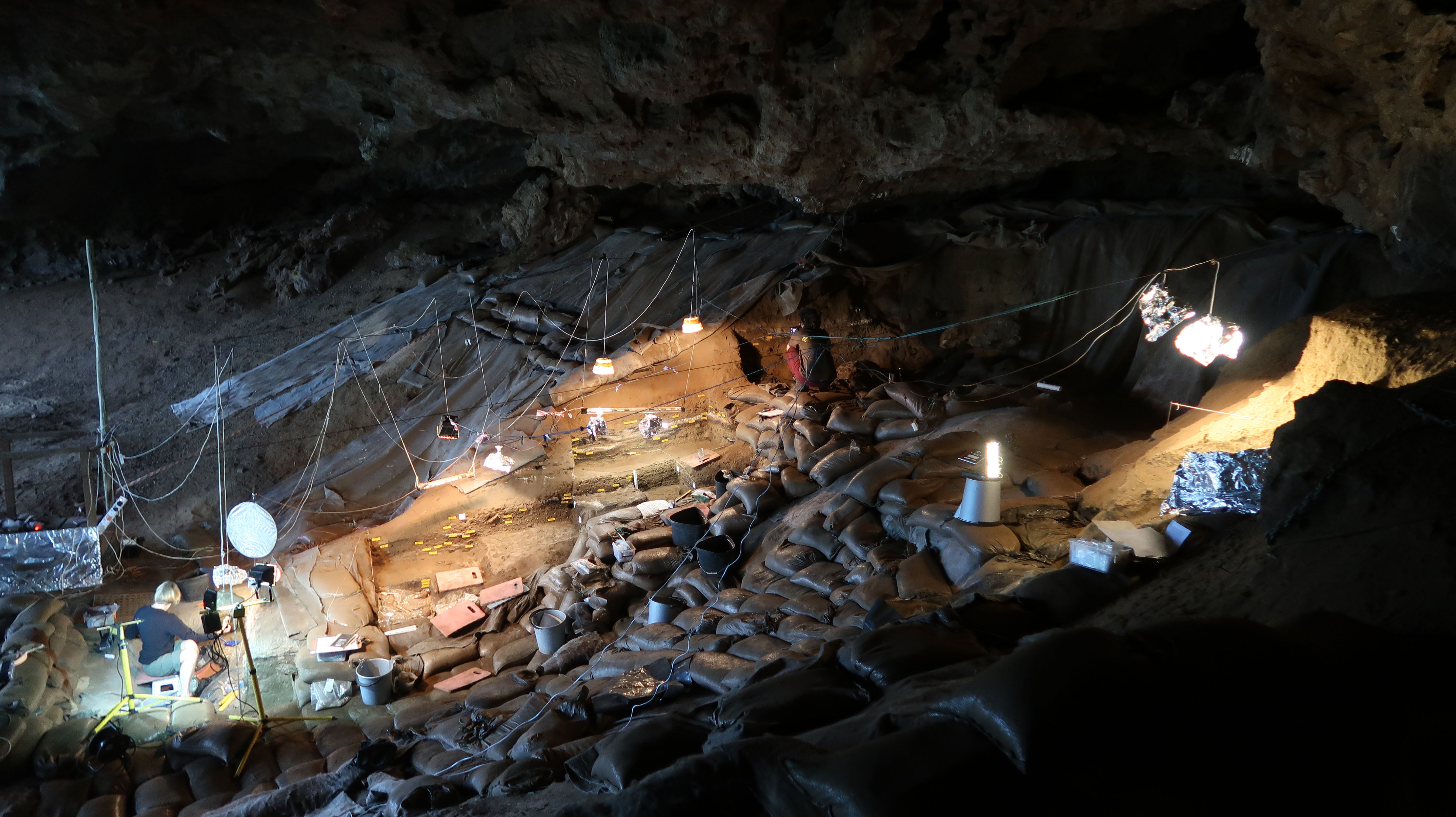 Early modern humans cooked starchy food (rhizomes) in border cave, South Africa, 170 thousand years ago