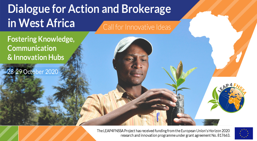 LEAP4FNSSA West Africa Workshop: Call for innovative ideas