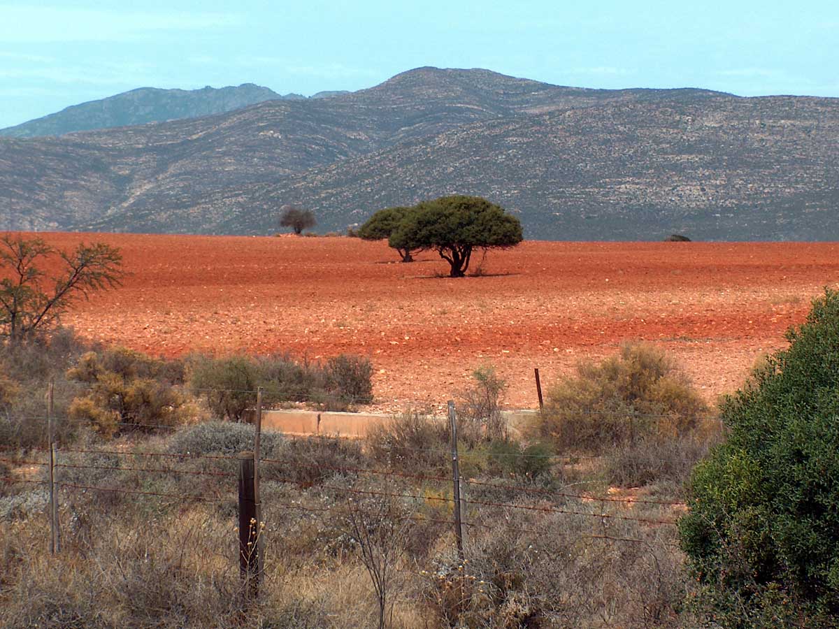 Report investigates climate change science and technology