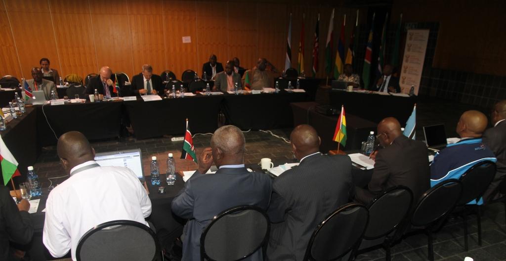 Big data programme for SKA African partner countries