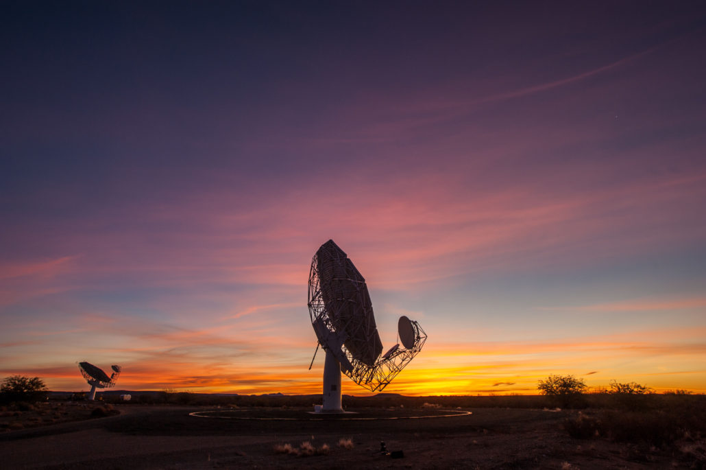 2015 meerkat 04 1030x685