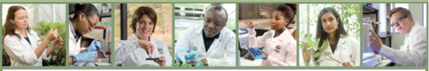 Take advantage of these exciting opportunities for plant genetics postgraduate students!