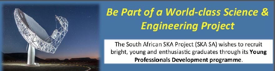 Young Professionals Development Programme - Call for Applications for 2017