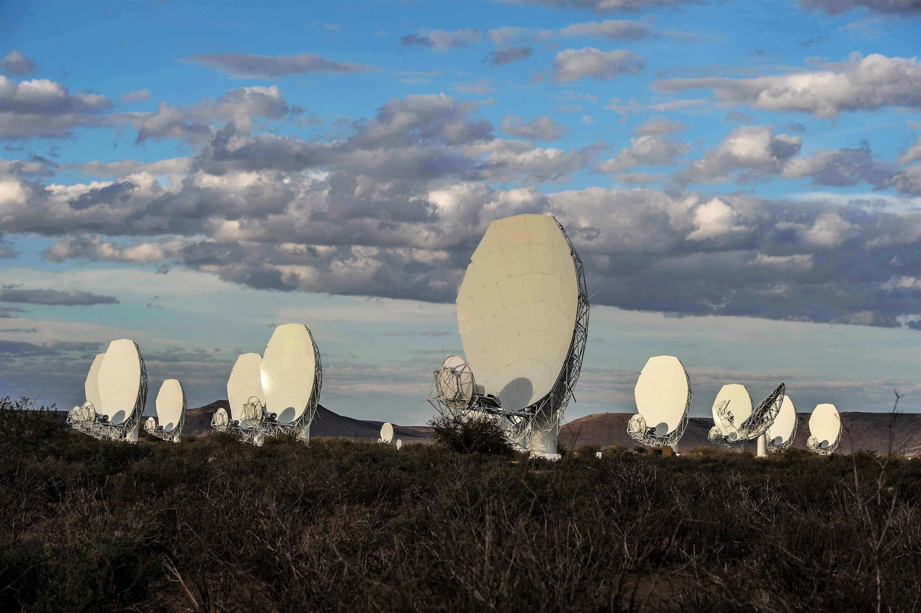 MEERKAT64 00