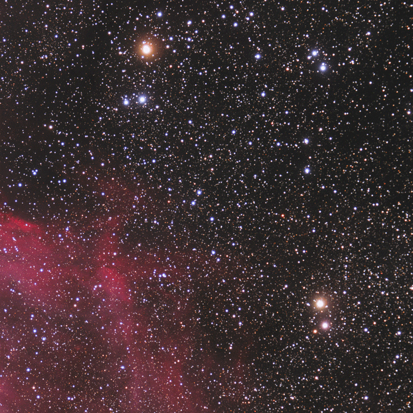 SALT contributes to a new understanding of novae