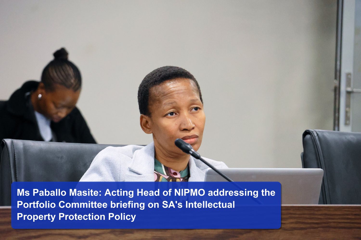 Parliamentary portfolio committees briefed on South Africa's evolving intellectual property system
