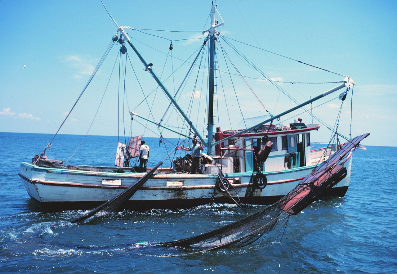 Green Maritime – Keeping Our Oceans Sustainable