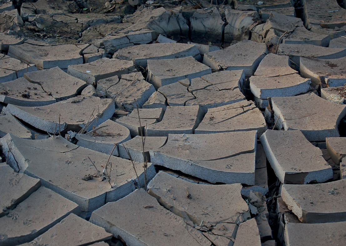 Commonwealth Academies Release Statement on Climate Change