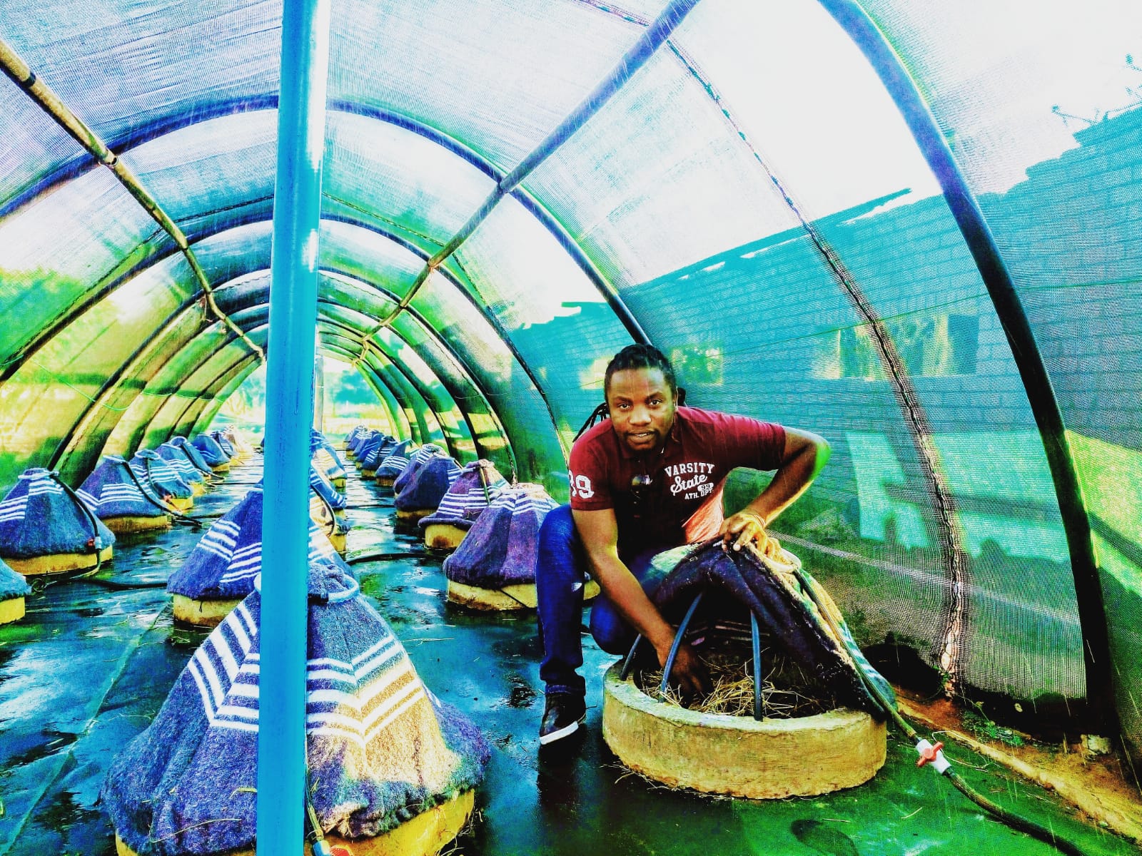 Celebrating Youth Month 2020: Innovative, low-cost technology enables mushroom cultivation in dry climates