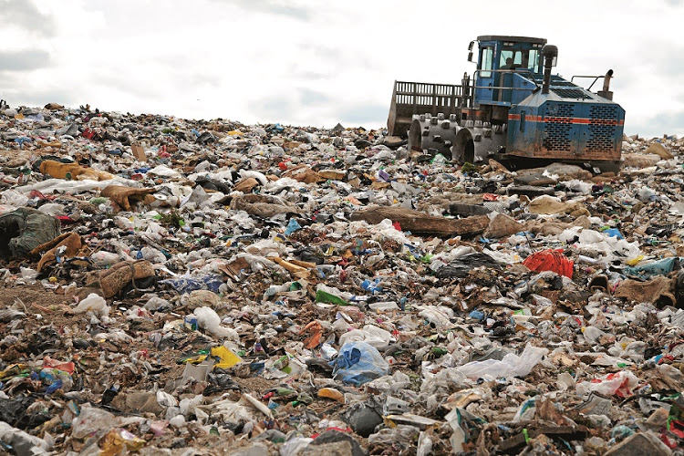 CSIR study shows reusable shopping bags have lower environmental impact