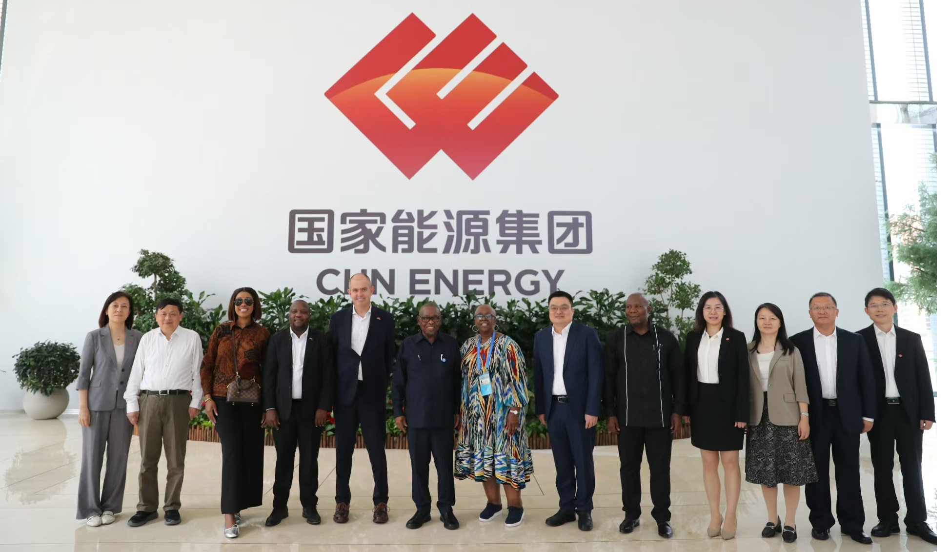 Minister Nzimande explores cooperation with China's institute for clean energy