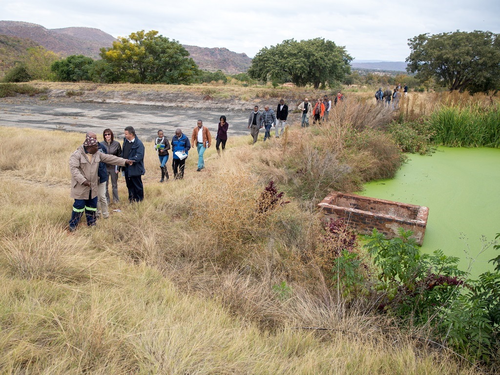 Algae proves a hit in the treatment of wastewater