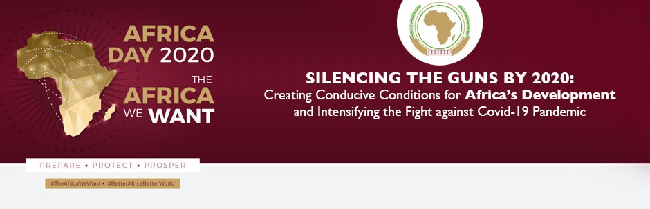 Africa Day delegates call for African solutions to COVID-19
